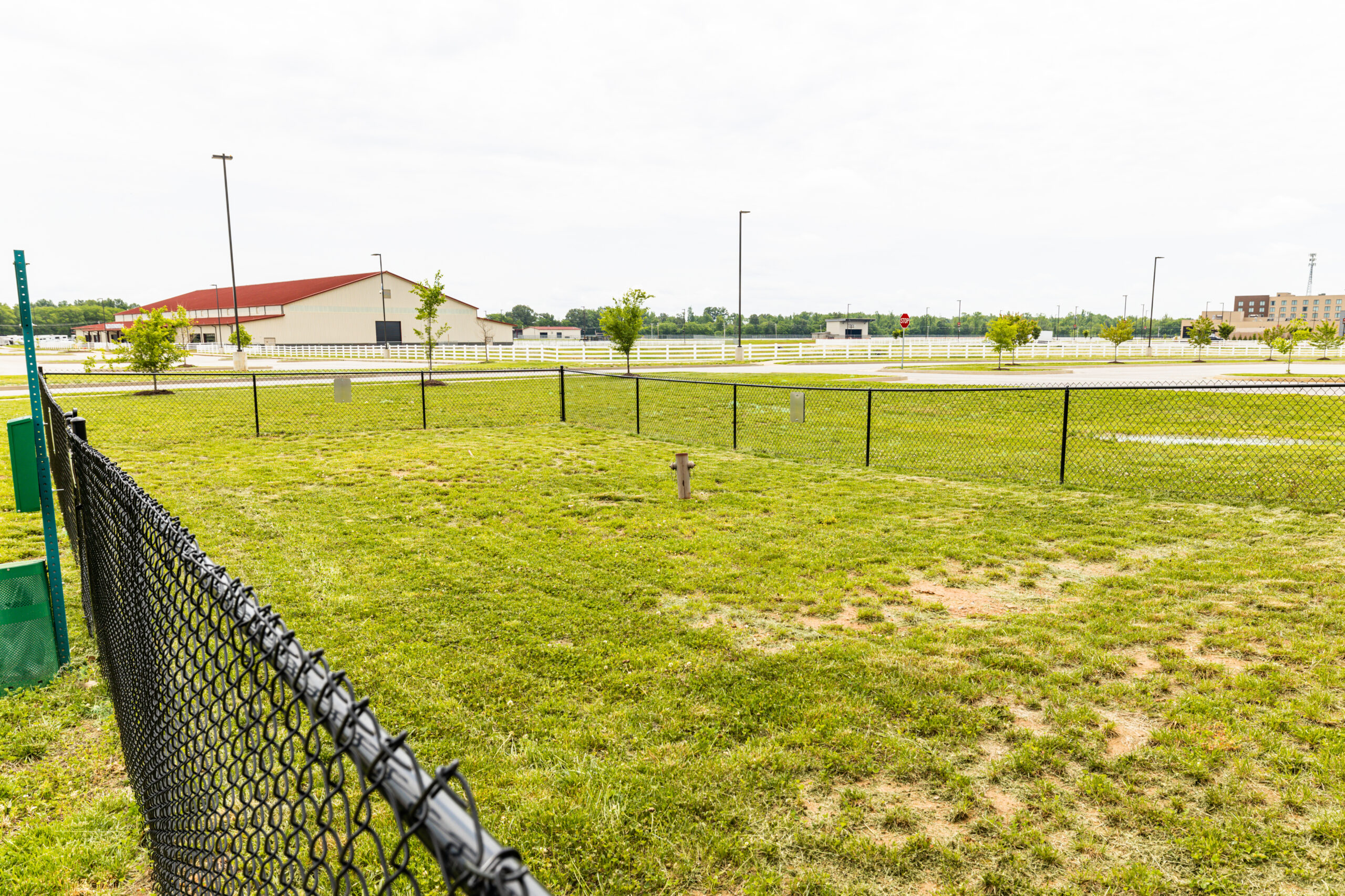 Grassy dog park.