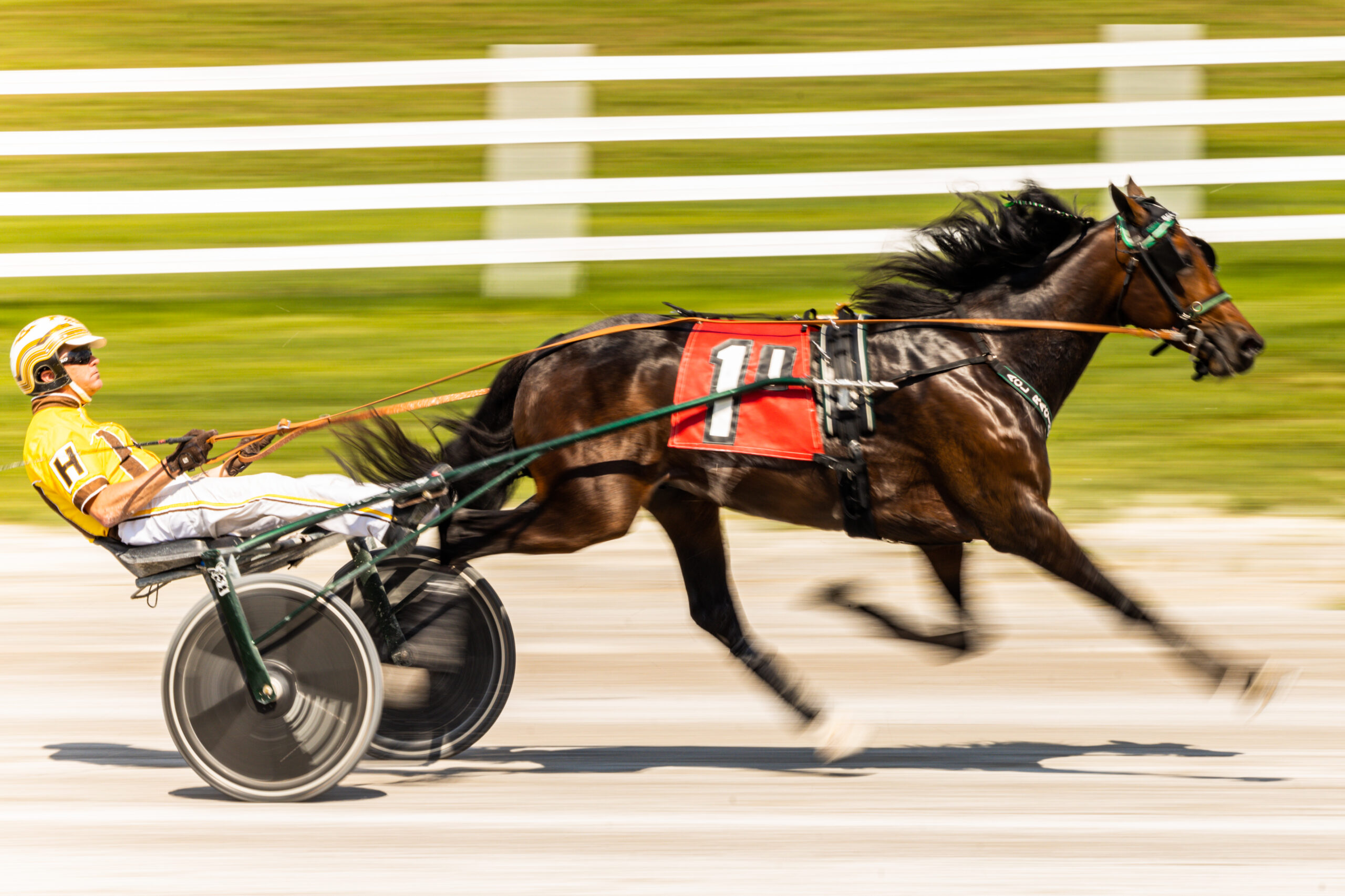 Action shot of one of our harness racers and their horse.