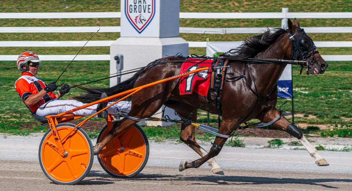 Harness racing